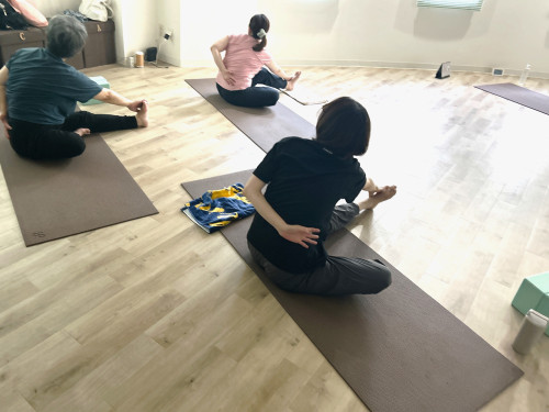 大和市 ヨガMellow-Yoga メローヨガ 南林間 ある日のLesson一例.jpg