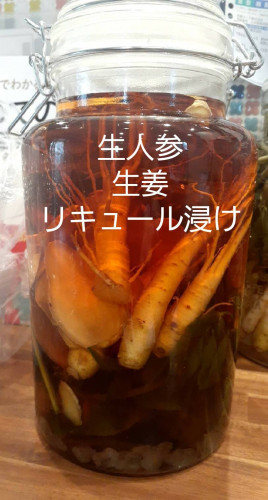 生人参　生姜リキュール浸け.jpg