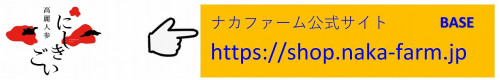 ナカフ公式サイトBASE.jpg