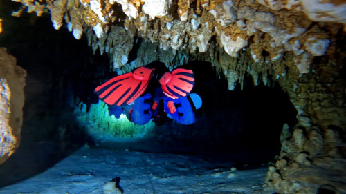 洞窟潜水4.jpg