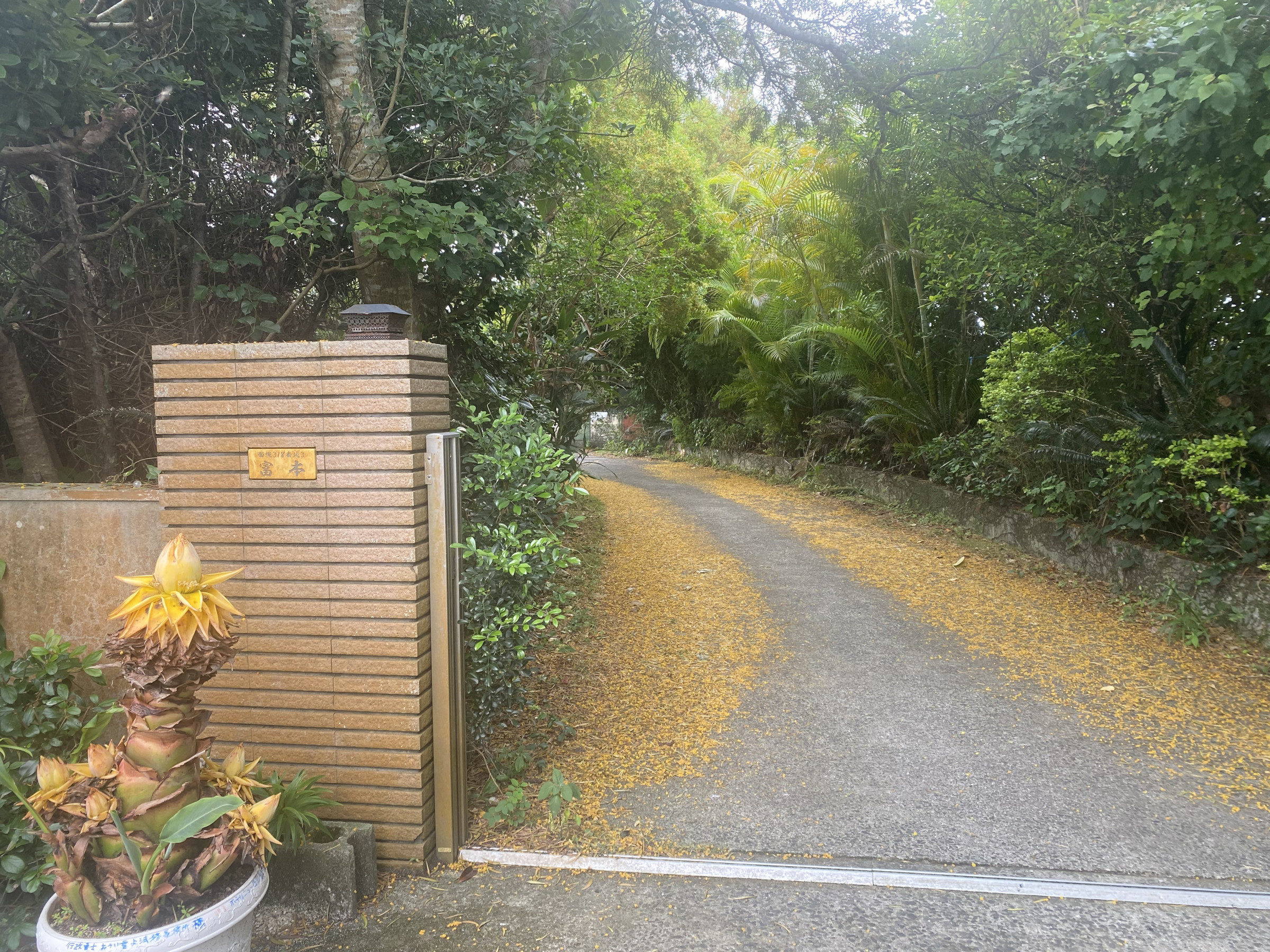 事務所所在地 〒891-8114 鹿児島県大島郡伊仙町面縄318-3  ※お車の方は、中庭で方向転換できます。