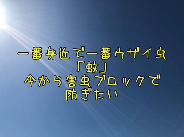 蚊