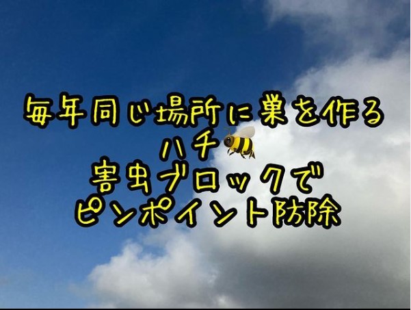 蜂