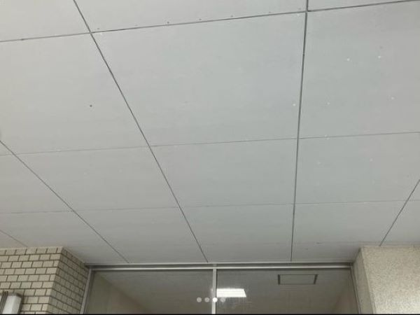虫や蜘蛛の巣に困っている時