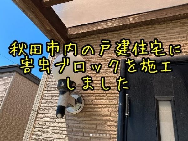 黒アリ・コオロギ