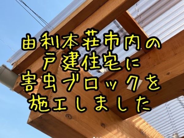 蜂2
