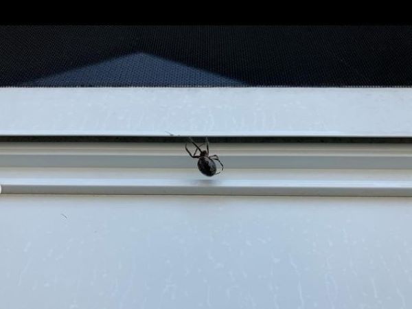 アパート共有部分にも3