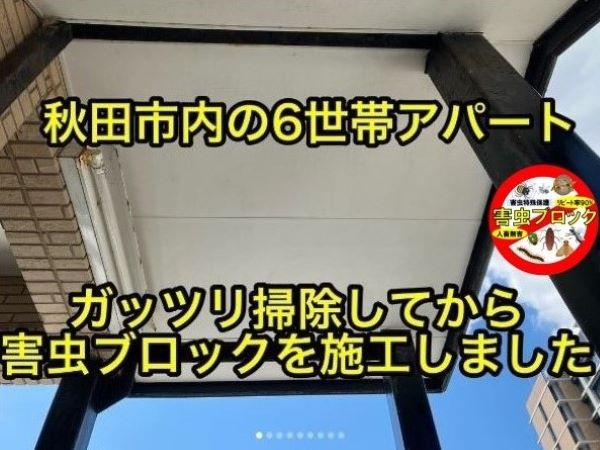 アパート共有部分にも4