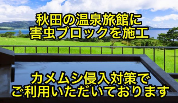 高級旅館