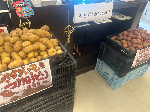 じゃがいもが採れました。