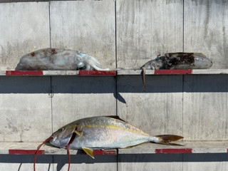 IMG_7475.jpeg