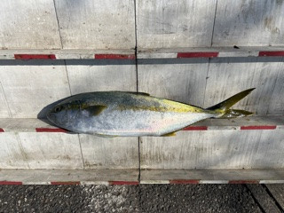 IMG_8004.jpeg