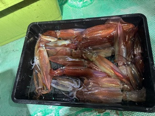 IMG_9500.jpeg
