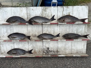 IMG_1485.jpeg