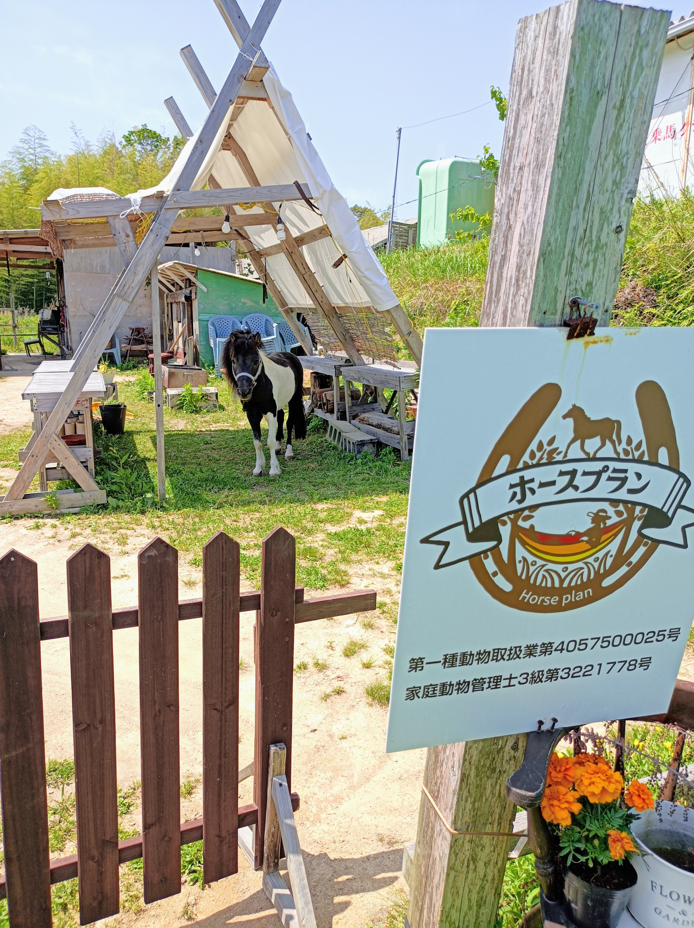 ホースプランへようこそ！