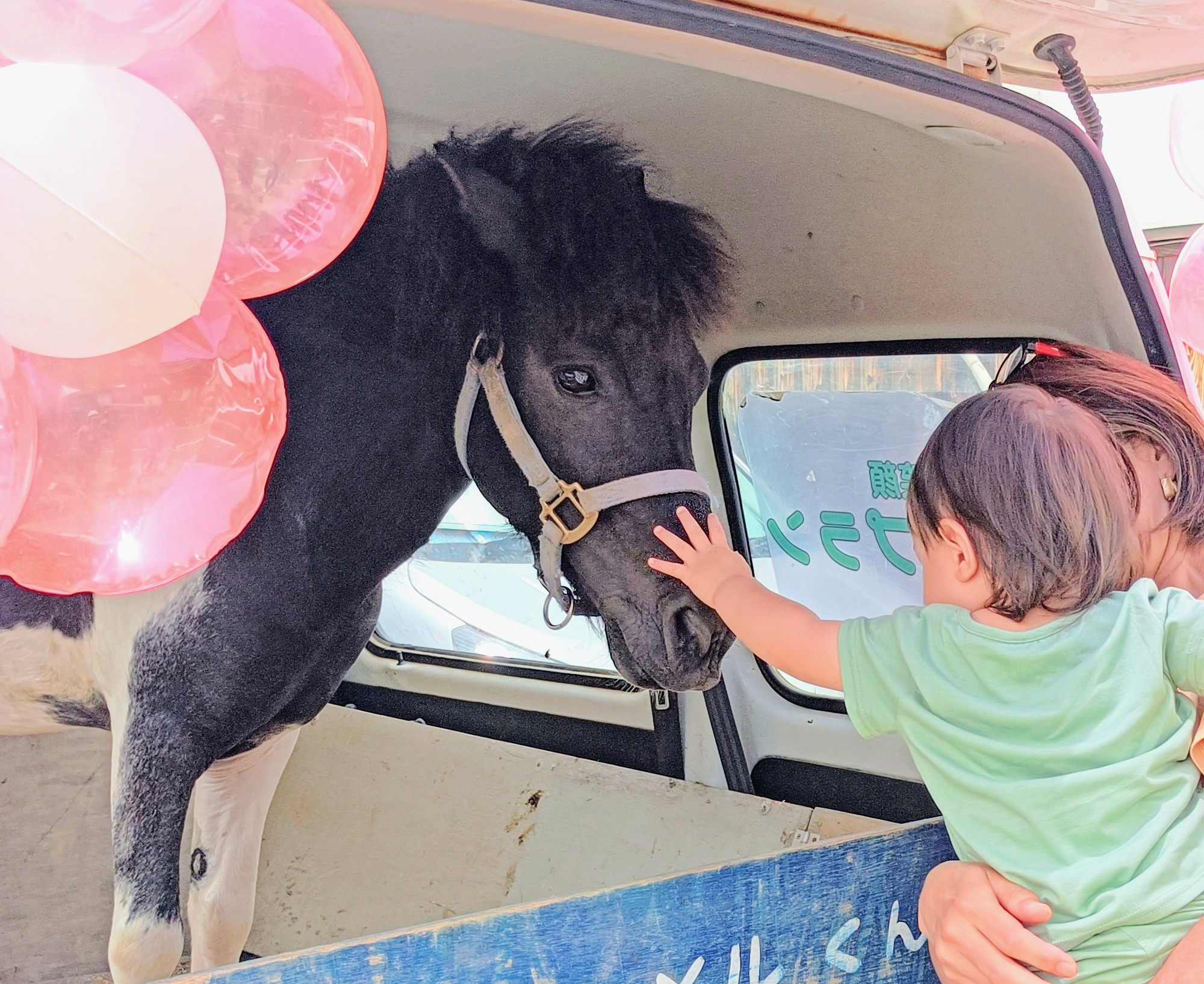 ロンメル君の出張ポニー広場
