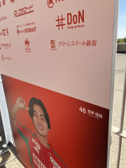 IMG_8634.jpeg