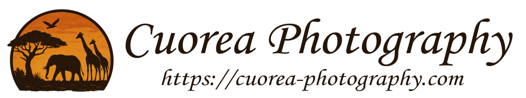 Cuorea Photography Official Page