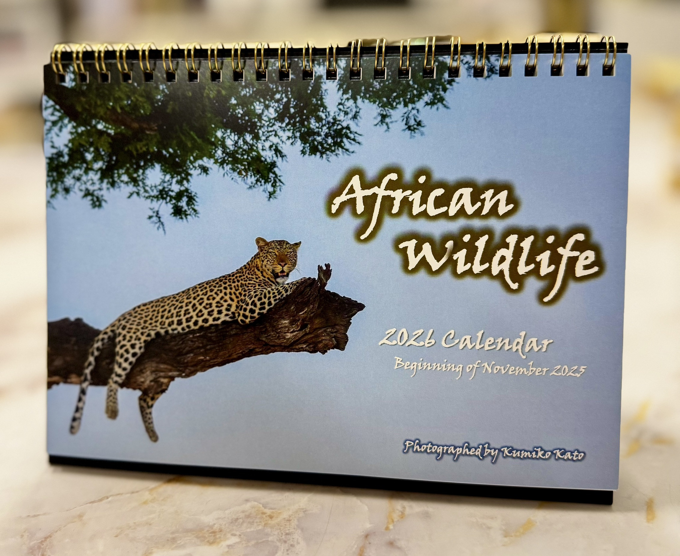 アフリカ野生動物カレンダー2026年版 発売開始しました