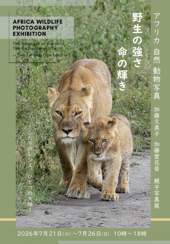 写真展のお知らせ