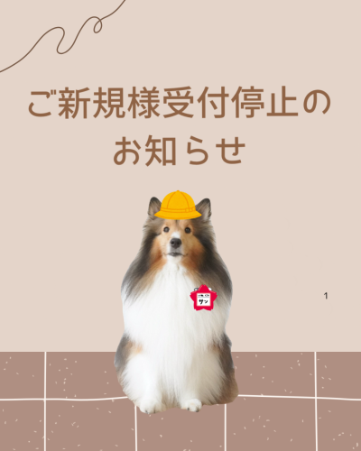IMG_2827.png
