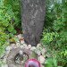 DSC_0593.JPG