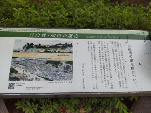 目白大洗堰説明版.JPG