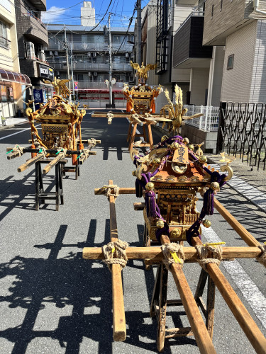 IMG_2079.jpeg