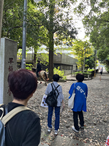 IMG_3582.jpeg
