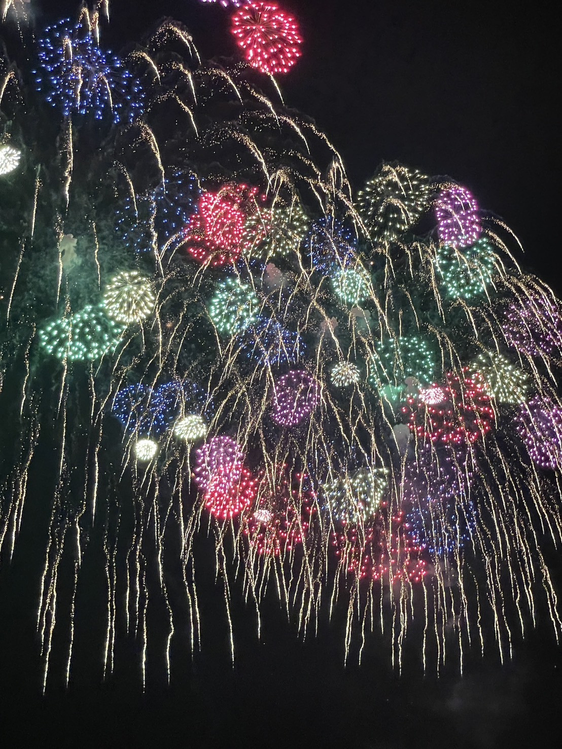 塩沢まつり大花火大会🎆