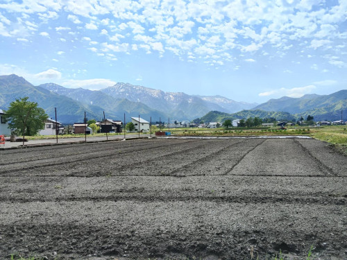 田植え前のGW、農園の風景 