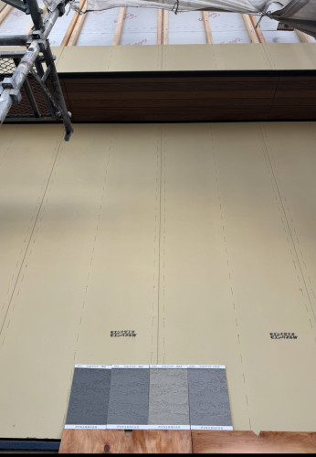 IMG_2480.jpeg