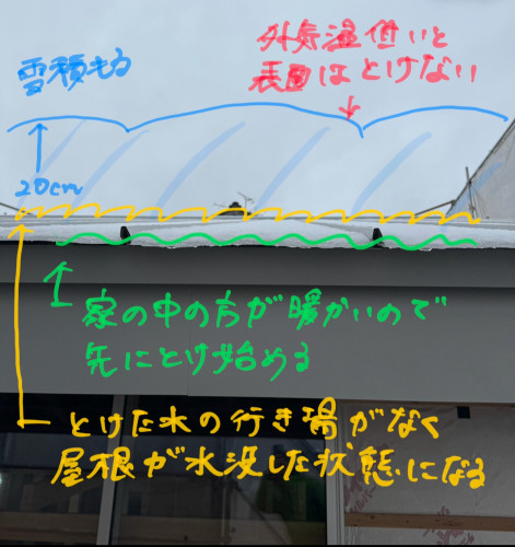 IMG_4187.jpeg