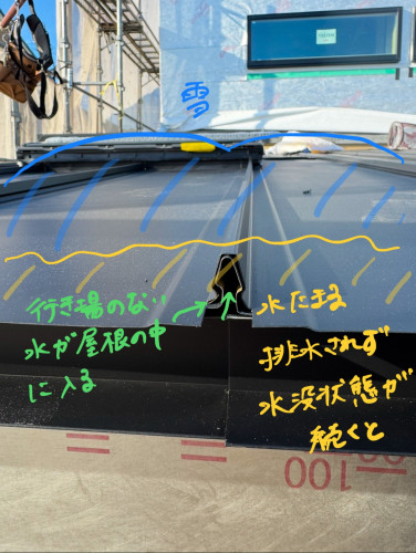 IMG_4181.jpeg