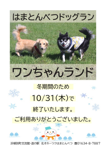 ドッグラン終了.jpg