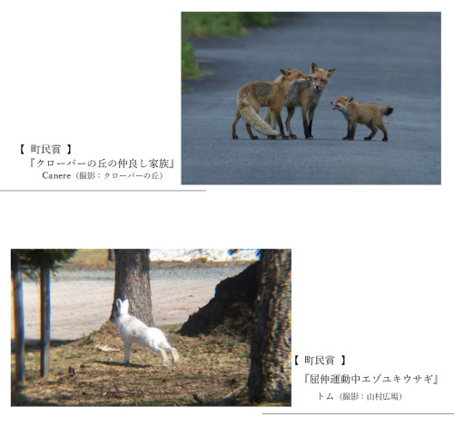 スライド8.JPG