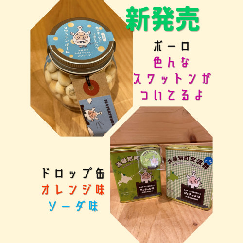 ボーロドロップ-SNS.jpg