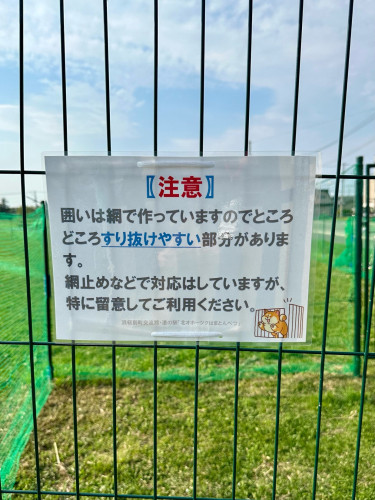 image3.jpeg