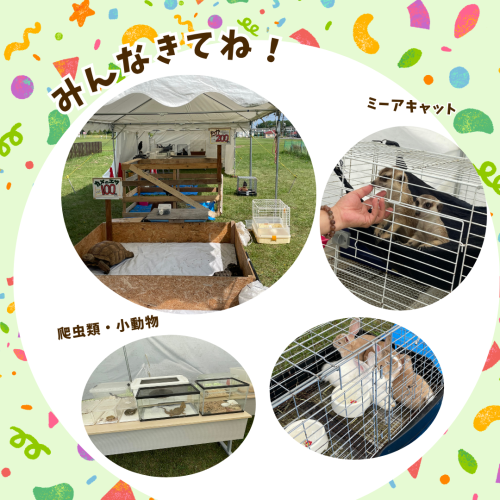 Instagramの投稿　緑　動物　かわいい　写真.png