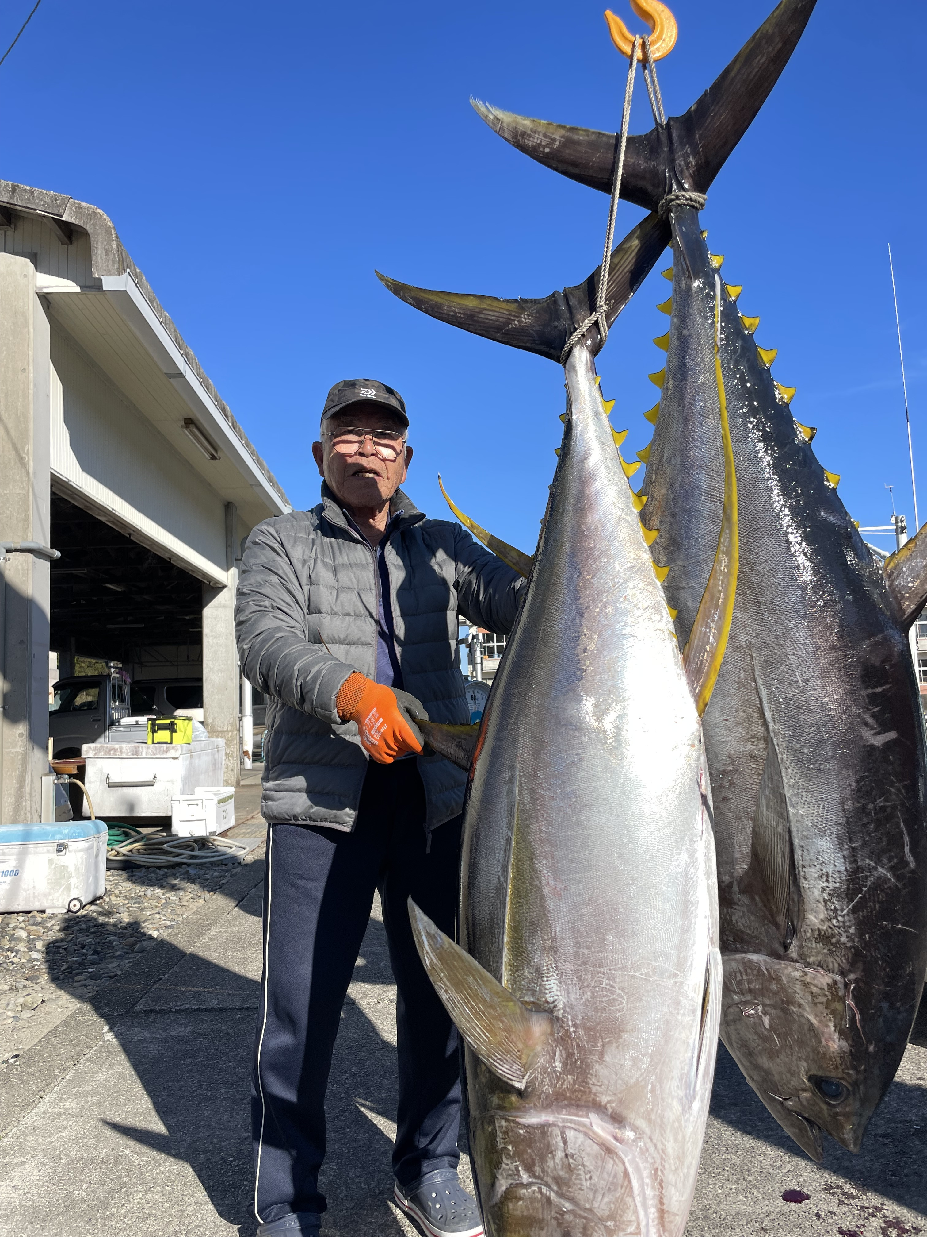 キハダはまだいます