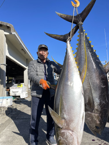 キハダはまだいます