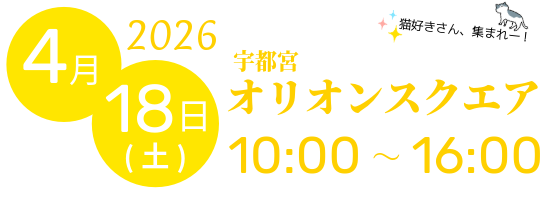 猫集会top-3 (1).png