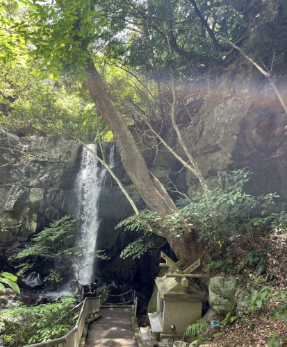 IMG_5370.jpeg