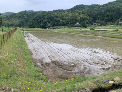 IMG_4020.jpeg