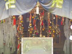 IMG_4890.jpeg