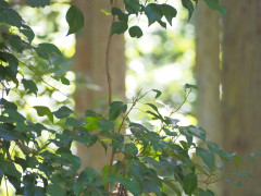 IMG_4888.jpeg