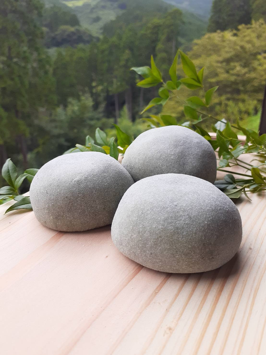 写真 > 団子 - 大戸野即売所