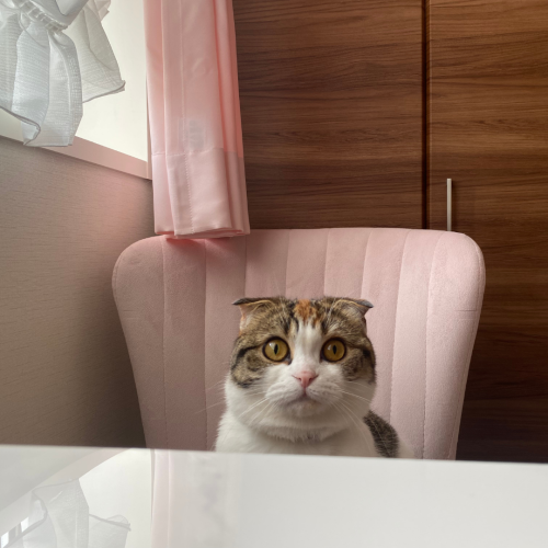 佐々木まなさん.png