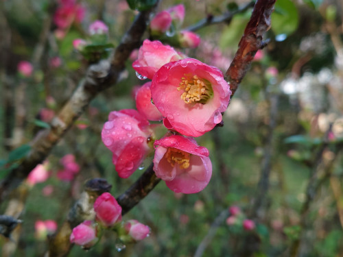 DSC_7712.JPG