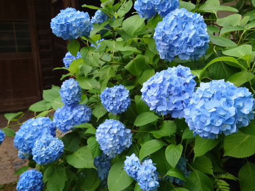 DSC_8569.JPG